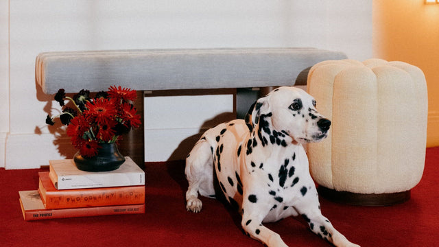 Banquette design CLOVI PARIS - velours bleu ciel - certifié OEKO-TEX - fabrication artisanale française - banquette entrée - banquette bout de lit chambre à coucher - banquette couloir - banquette maison de vacances