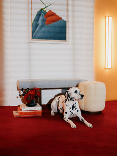 Banquette Pompidou Clovi Paris sur-mesure : assise design haut de gamme pour restaurant, lobby d'hôtel et galerie. Fabrication artisanale française à Lille en bois et velours italien. Idéale pour délimiter les espaces avec une ligne sculpturale et minimaliste.
Bespoke Pompidou bench by Clovi Paris: high-end designer seating for restaurants, hotel lobbies, and galleries. Handcrafted in France (Lille) with solid wood and Italian velvet upholstery. Perfect for defining spaces with a sculptural and minimalist 